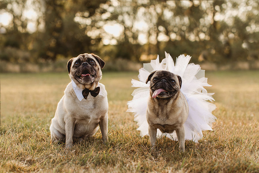 33 Photographers Share Their Favourite Wedding Photos