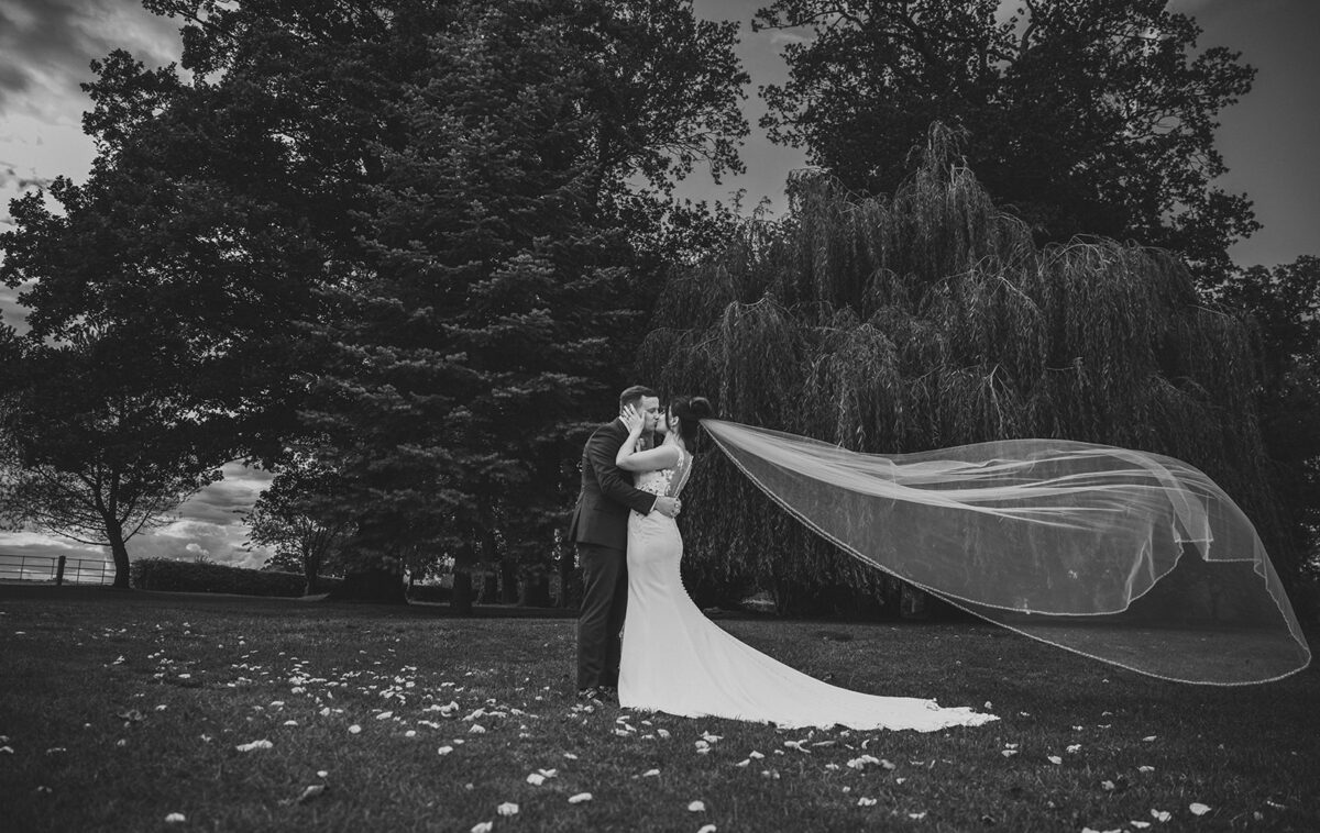 Full Day Videography