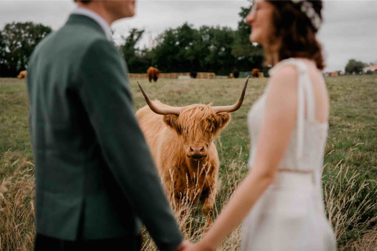 The Essentials - Ceremony and Family Formals