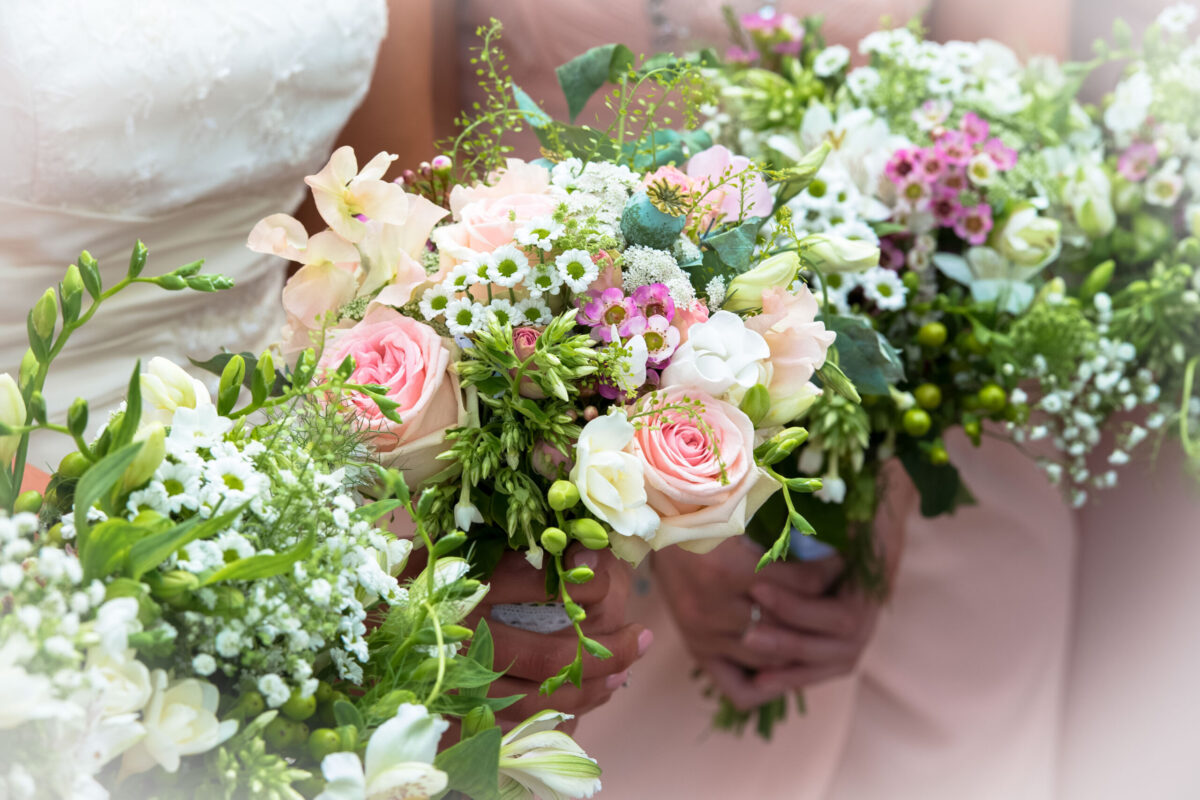 Short Day Photography with 20 page Album included!