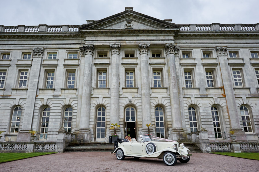 Full Day or Half day with over 20 years of experience, friendly professional and creative