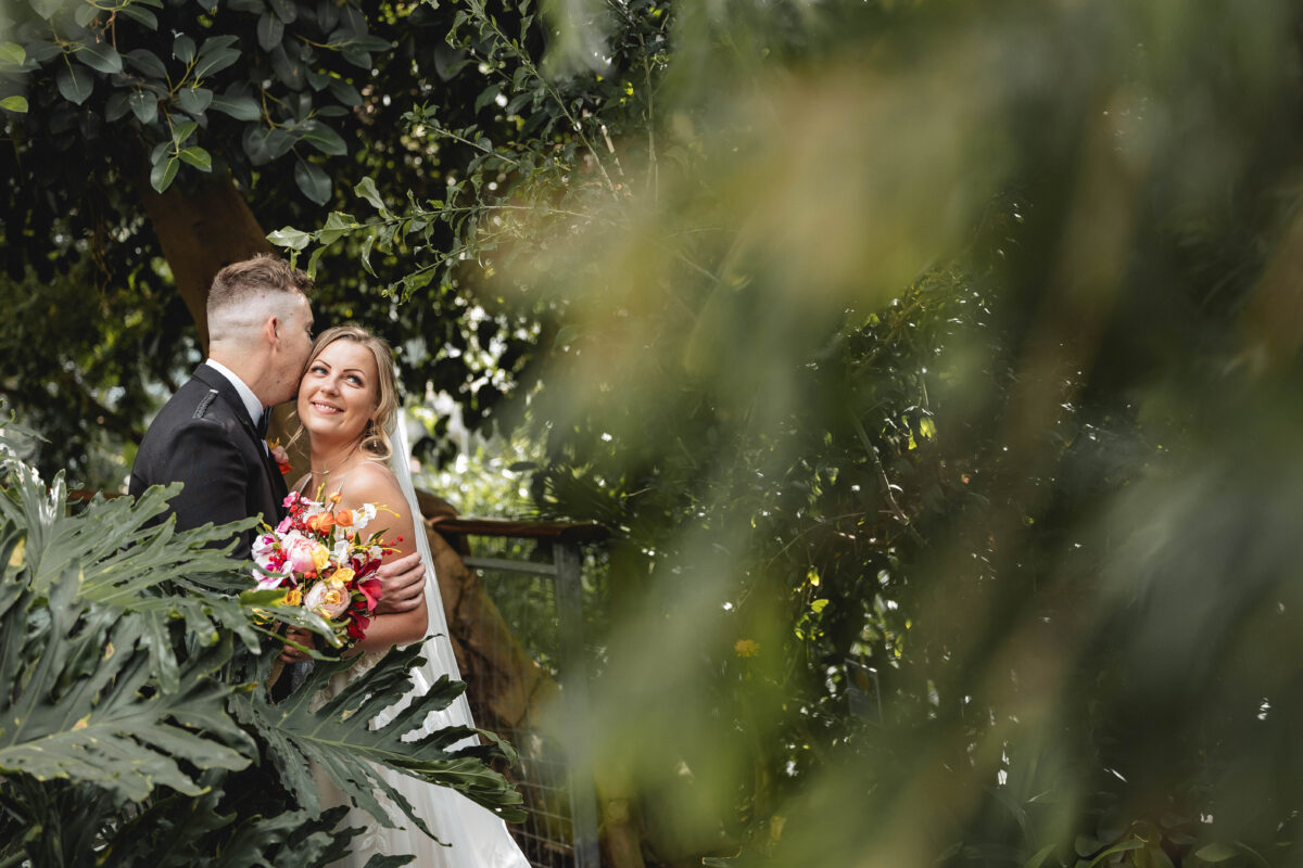 Half Day Coverage from Experienced, Creative Professional